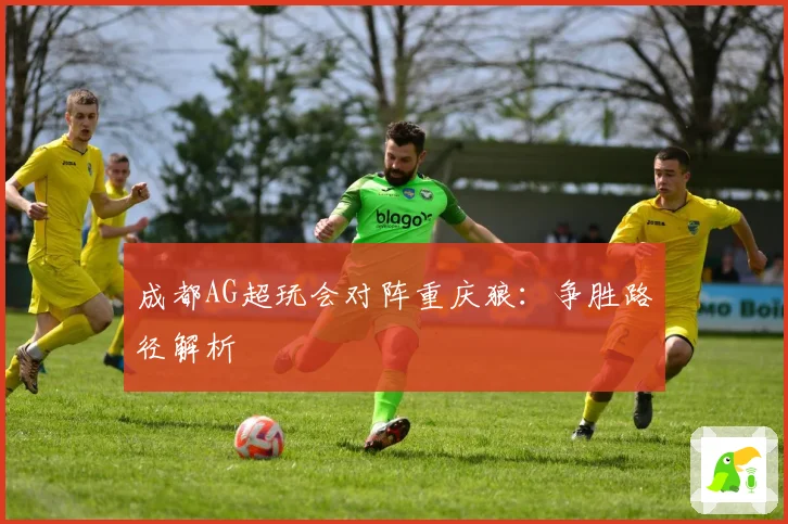 成都AG超玩会对阵重庆狼：争胜路径解析