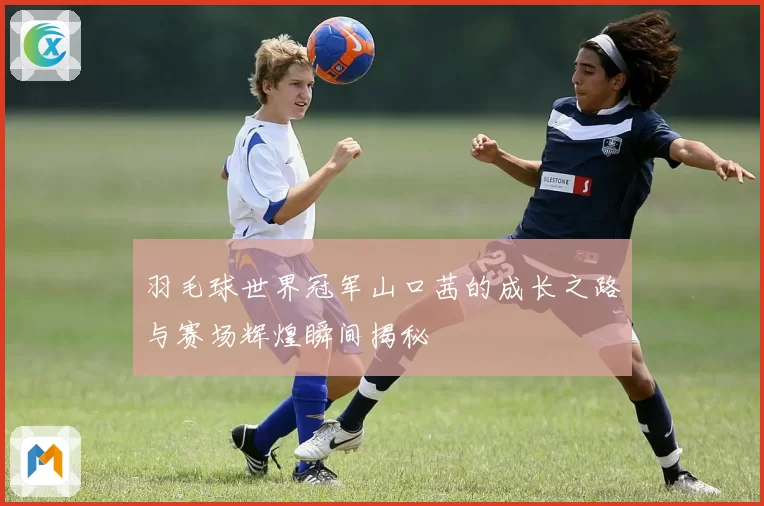 羽毛球世界冠军山口茜的成长之路与赛场辉煌瞬间揭秘