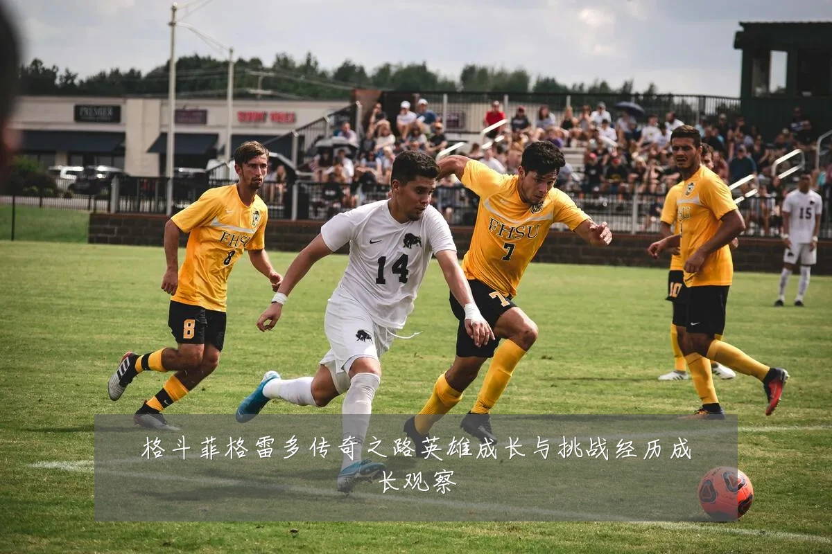 格斗菲格雷多传奇之路英雄成长与挑战经历成长观察